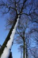 /album/winter-liessel/dsc00250-jpg/