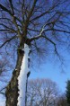 /album/winter-liessel/dsc00277-jpg/