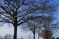 /album/winter-liessel/dsc00279-jpg/