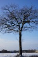 /album/winter-liessel/dsc00282-jpg/